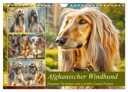 Cover-Bild zum Titel 'Afghanischer Windhund. Eleganter Sichtjäger und sensibler Couch-Potatoe (Wandkalender 2026 DIN A4 quer), CALVENDO Monatskalender' von 'Rose Hurley'