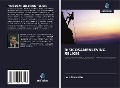 Cover-Bild zum Titel 'RISICOSAMENLEVING RELIGIE' von 'Ivan Doroshin'