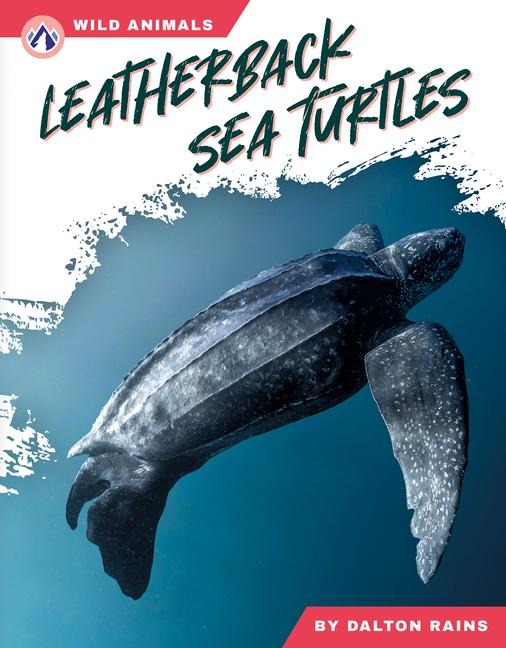 Leatherback Sea Turtles - Abby Doty