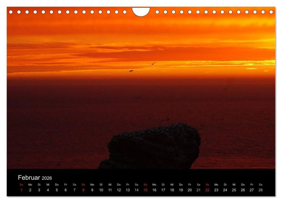 InsideView 7