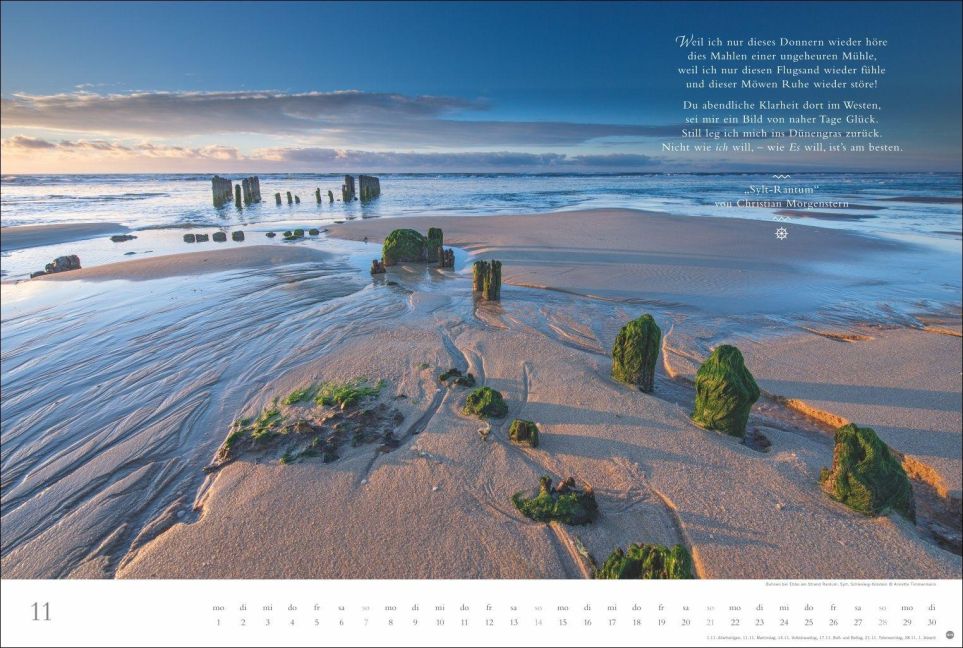 InsideView 11