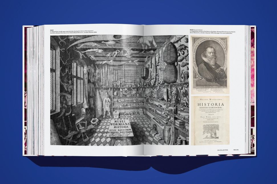 InsideView 26