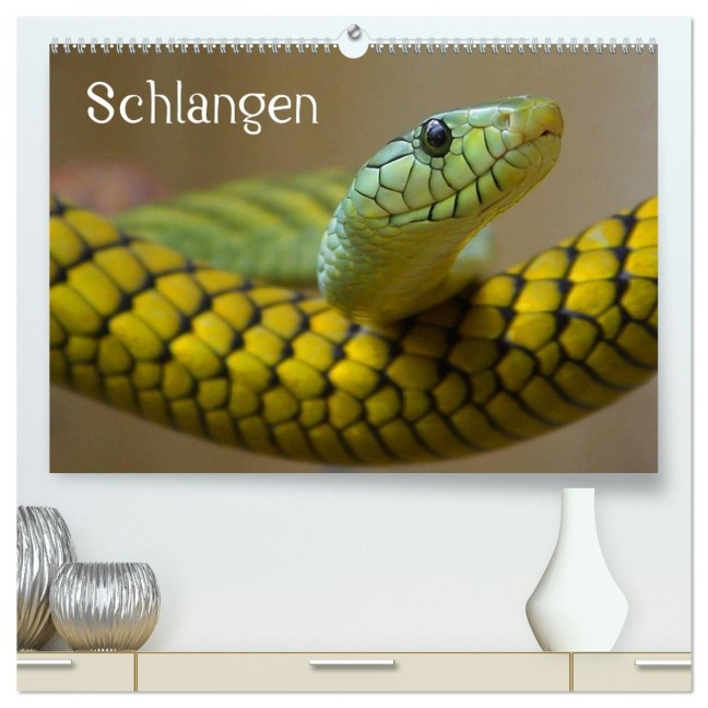 Schlangen (hochwertiger Premium Wandkalender 2026 DIN A2 quer), Kunstdruck in Hochglanz - Elisabeth Stanzer