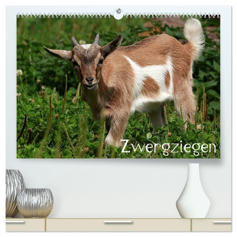 Zwergziegen (hochwertiger Premium Wandkalender 2024 DIN A2 quer), Kunstdruck in Hochglanz - Arno Klatt