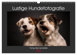 Cover-Bild zum Titel 'Fang das Leckerlie (Wandkalender 2026 DIN A3 quer), CALVENDO Monatskalender' von 'Christiane Heggemann Eyecatcher-Fotografie'