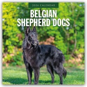 Cover-Bild zum Titel 'Belgian Shepherd - Belgischer Schäferhund 2026 - 16-Monatskalender' von 'Robin Red'