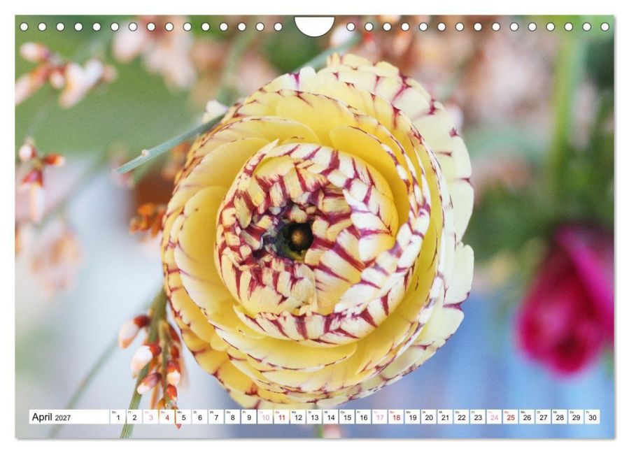 InsideView 9