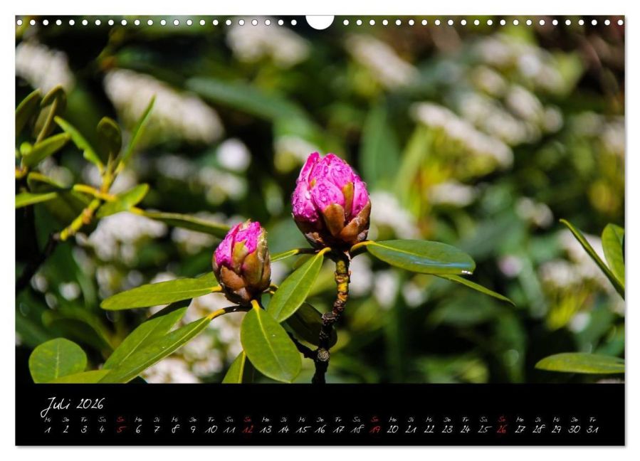 InsideView 12