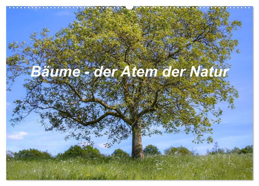 Bäume, der Atem der Natur (Wandkalender 2026 DIN A2 quer), CALVENDO Monatskalender - Christine Wirges