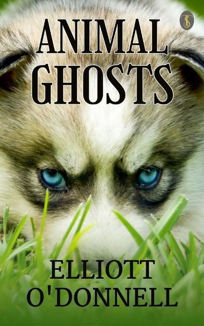 Animal Ghosts - Elliott O'Donnell