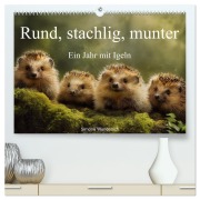 Cover-Bild zum Titel 'Rund, stachlig, munter - Ein Jahr mit Igeln (hochwertiger Premium Wandkalender 2026 DIN A2 quer), Kunstdruck in Hochglanz' von 'Simone Wunderlich'