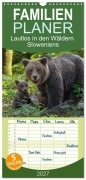 Cover-Bild zum Titel 'Familienplaner 2027 - Lautlos in den Wäldern Sloweniens mit 5 Spalten (Wandkalender, 21 x 45 cm) CALVENDO' von 'Stephan Peyer'