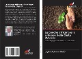 Cover-Bild zum Titel 'Le banche africane e lo sviluppo della Costa d'Avorio' von 'Legbré Alphonse Dago'