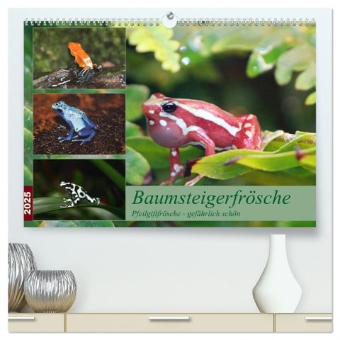 Baumsteigerfrösche. Pfeilgiftfrösche - gefährlich schön (hochwertiger Premium Wandkalender 2025 DIN A2 quer), Kunstdruck in Hochglanz - B. Mielewczyk