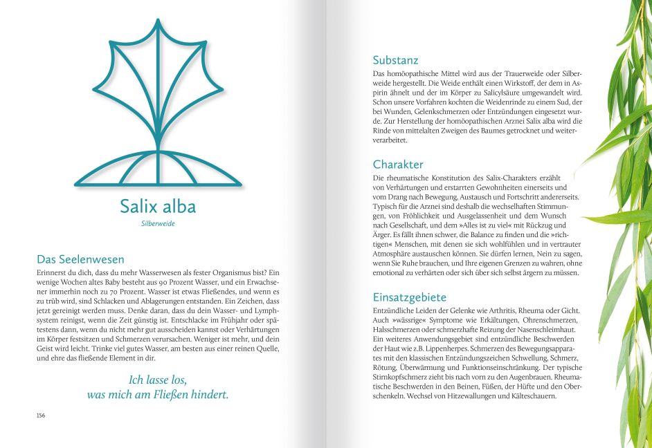 InsideView 4