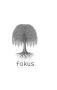 Cover-Bild zum Titel 'Fokus' von 'V. Rhalin'