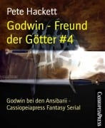 Godwin - Freund der Götter #4 - Pete Hackett