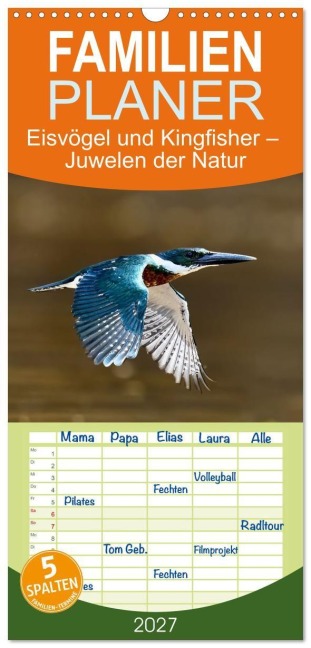 Familienplaner 2027 - Eisvögel und Kingfisher - Juwelen der Natur mit 5 Spalten (Wandkalender, 21 x 45 cm) CALVENDO - Andreas Zydek AnZy-Fotografie