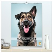 Cover-Bild zum Titel 'Hundekalender - Hunderassen im Portrait (hochwertiger Premium Wandkalender 2026 DIN A2 hoch), Kunstdruck in Hochglanz' von 'HIGHLIGHT. photo Maxi Sängerlaub'