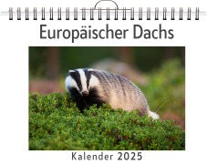 Cover-Bild zum Titel 'Europäischer Dachs' von 'Florian Keller'