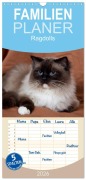Cover-Bild zum Titel 'Familienplaner 2026 - Ragdolls mit 5 Spalten (Wandkalender, 21 x 45 cm) CALVENDO' von 'Fotodesign Verena Scholze'