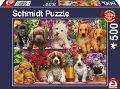 Hunde im Regal Puzzle 500 Teile - 