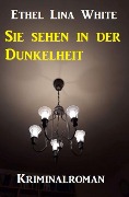 Cover-Bild zum Titel 'Sie sehen in der Dunkelheit: Kriminalroman' von 'Ethel Lina White'