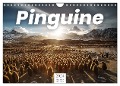Pinguine - Die sympathischen Frack-Träger (Wandkalender 2024 DIN A4 quer), CALVENDO Monatskalender - Benjamin Lederer