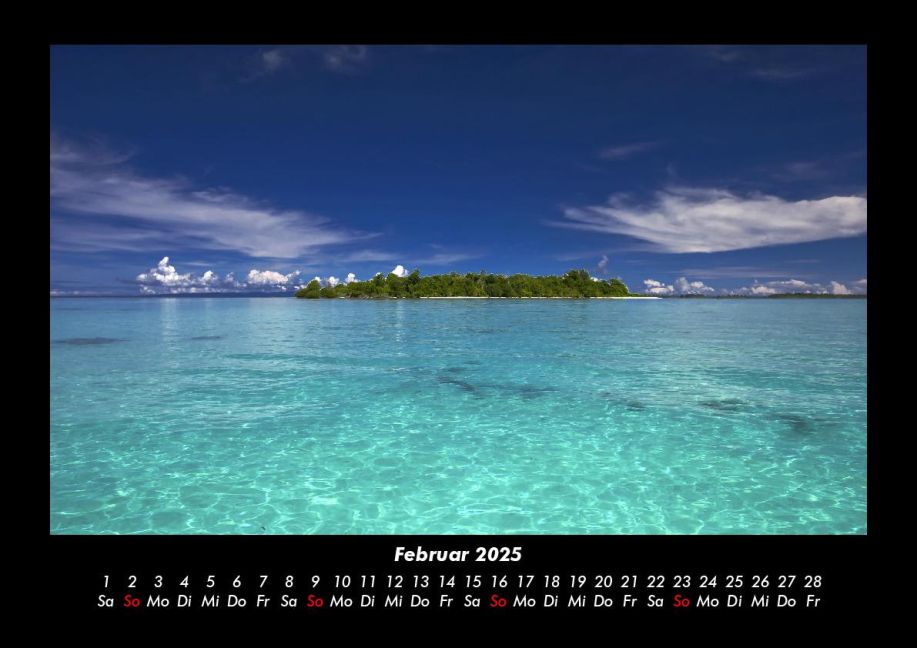 InsideView 6