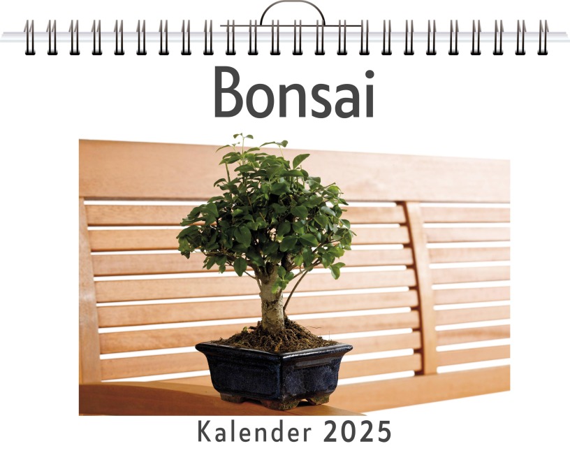 Bonsai - Max Krüger