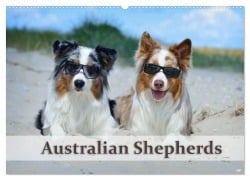 Wunderbare Australian Shepherds (Wandkalender 2026 DIN A2 quer), CALVENDO Monatskalender - Trio Bildarchiv - Nicole Noack