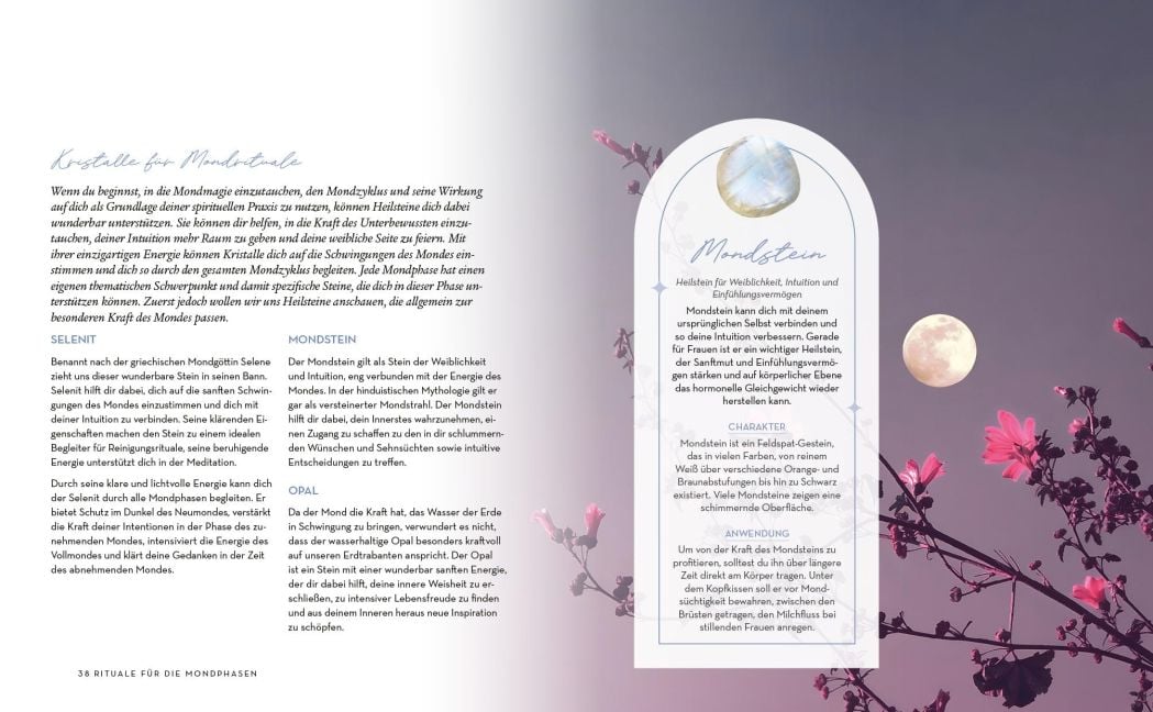 InsideView 3