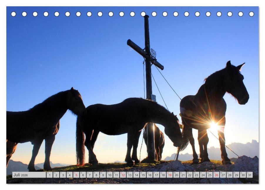 InsideView 12
