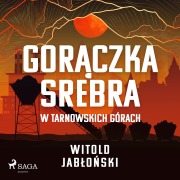 Cover-Bild zum Titel 'Gor¿czka srebra w Tarnowskich Górach' von 'Witold Jab¿o¿ski'