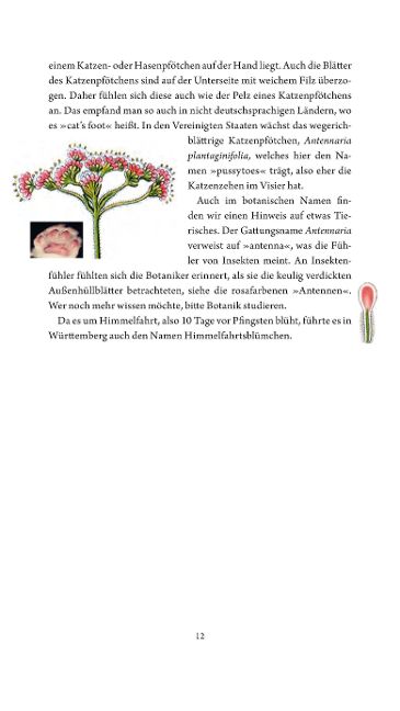 InsideView 6