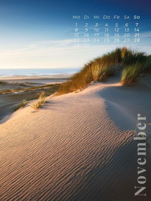 InsideView 11