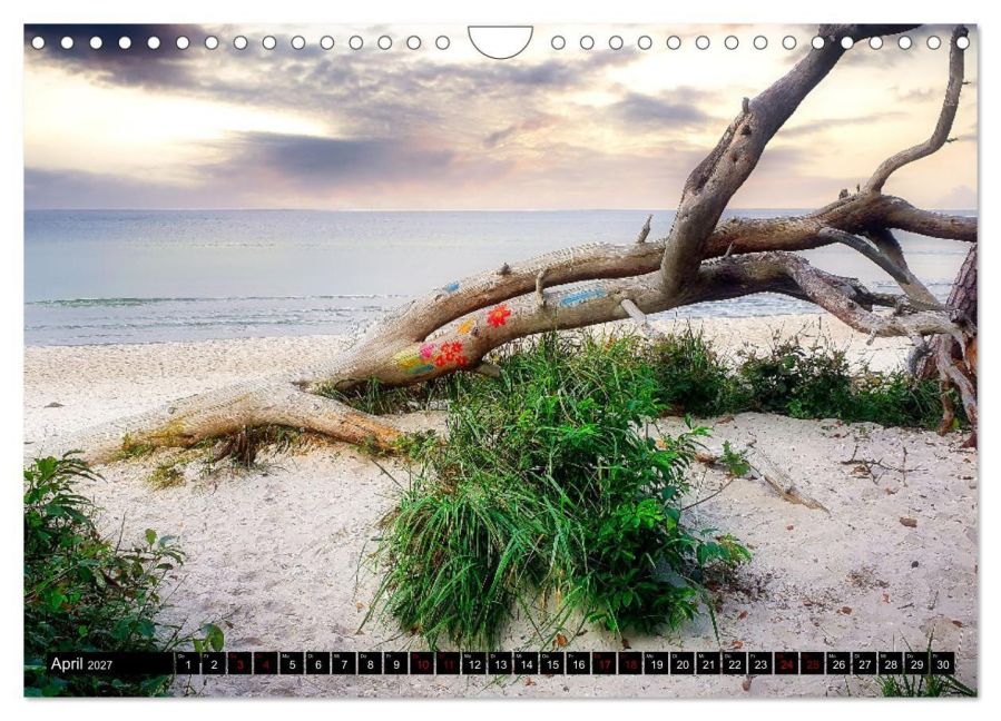 InsideView 9