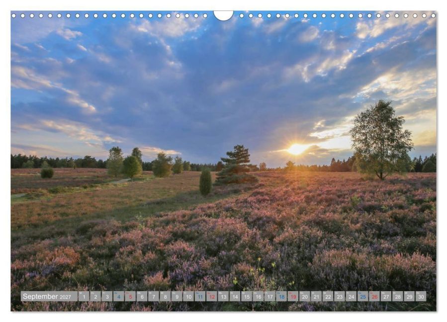 InsideView 14