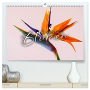 Cover-Bild zum Titel 'Die magische Welt der Blumen (hochwertiger Premium Wandkalender 2026 DIN A2 quer), Kunstdruck in Hochglanz' von 'Sf Sf'