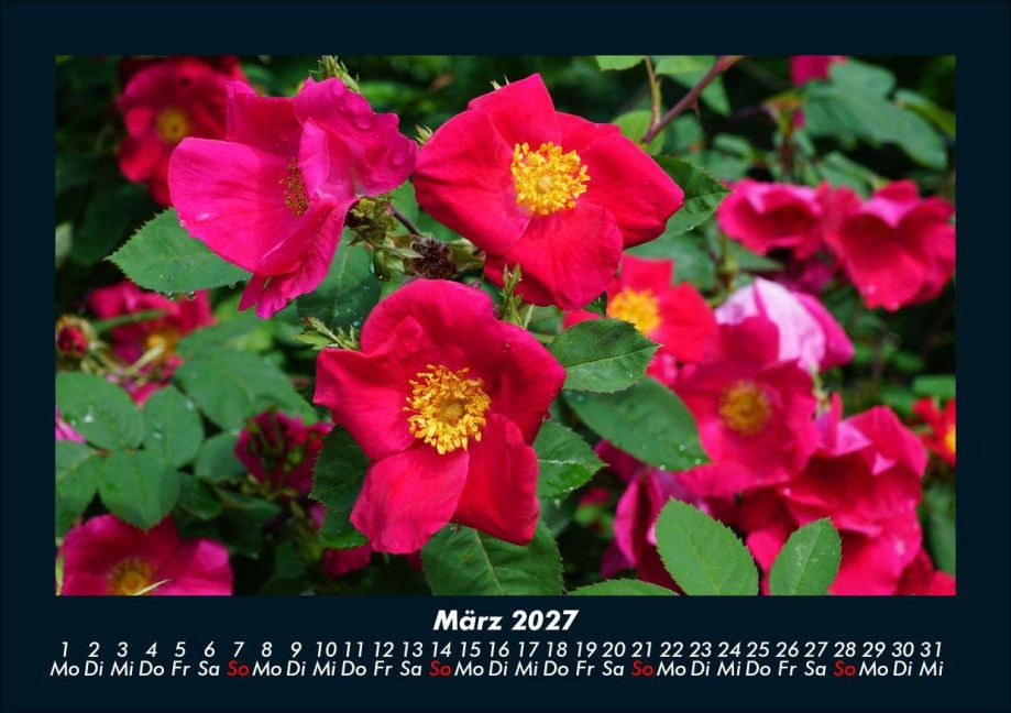 InsideView 7