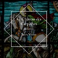 Cover-Bild zum Titel 'Le Château des Carpathes' von 'Jules Verne'