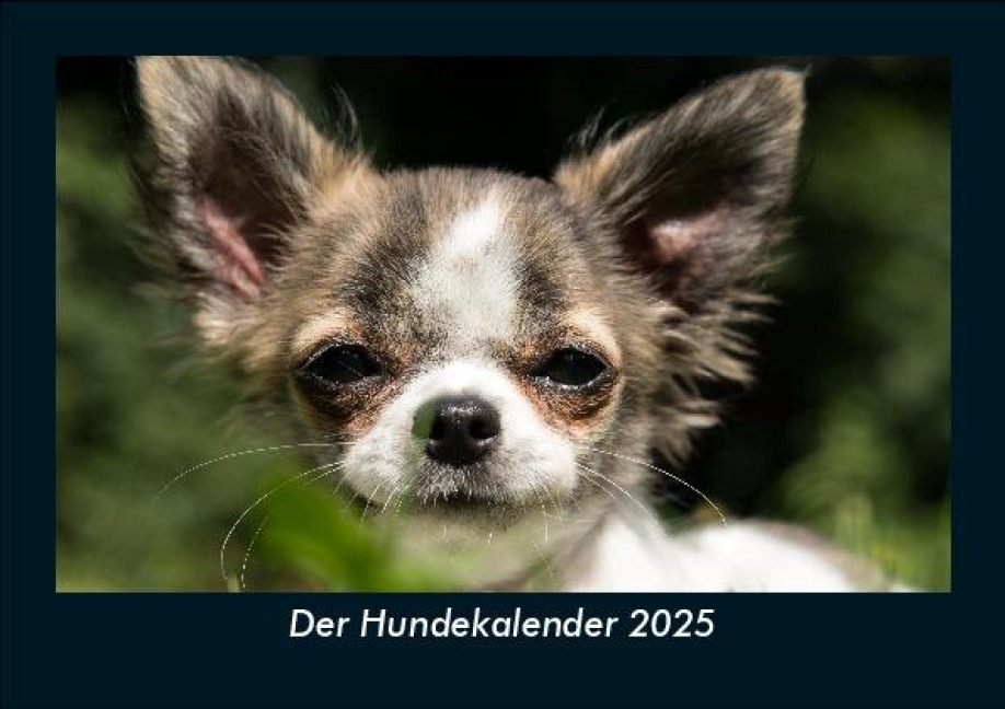 Der Hundekalender 2025 Fotokalender DIN A5 - Tobias Becker