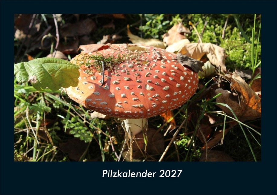 Pilzkalender 2027 Fotokalender DIN A4 - Tobias Schmitt, Kevin Heber