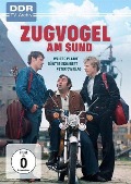 Cover-Bild zum Titel 'Zugvogel am Sund' von 'Hans Knötzsch, Gerhard Stueber, Rolf Zimmermann'
