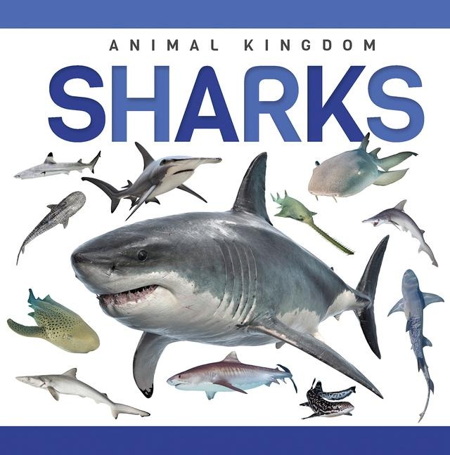 Sharks - Alex Hall
