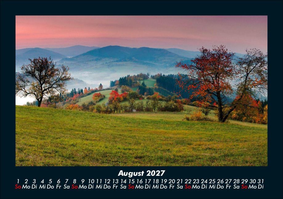InsideView 12