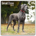 Great Dane - Dänische Dogge 2025 - 16-Monatskalender - Avonside Publishing Ltd