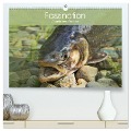 Faszination Angeln und Fischen (hochwertiger Premium Wandkalender 2025 DIN A2 quer), Kunstdruck in Hochglanz - Elisabeth Stanzer