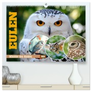 Cover-Bild zum Titel 'EULEN Wächter des Waldes (hochwertiger Premium Wandkalender 2026 DIN A2 quer), Kunstdruck in Hochglanz' von 'Melanie Viola'