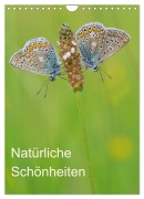 Cover-Bild zum Titel 'Insekten,Schönheiten der Natur (Wandkalender 2026 DIN A4 hoch), CALVENDO Monatskalender' von 'Jürgen Blum'